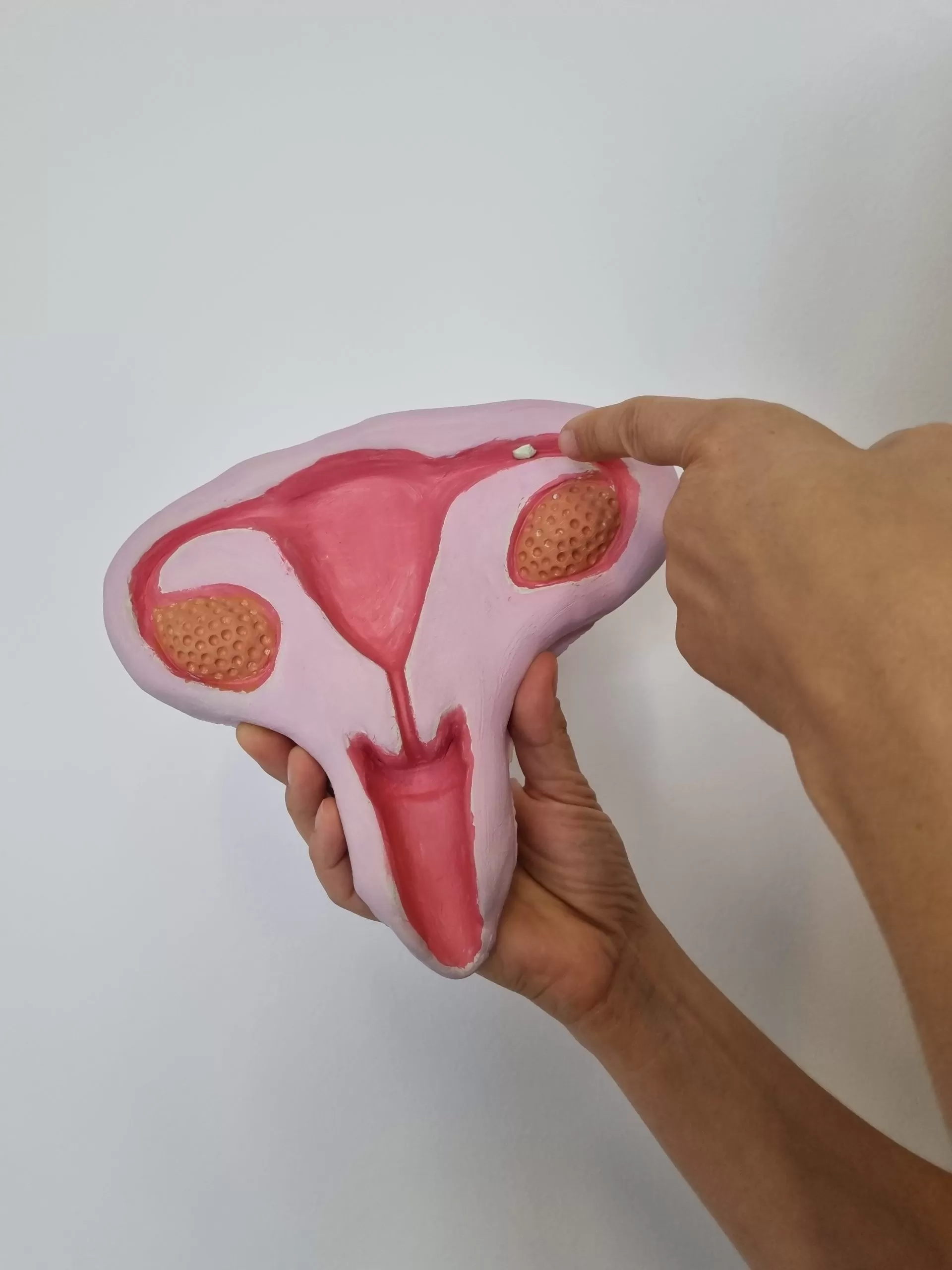 Delavnica za pripravo na menstruacijo - slika 3
