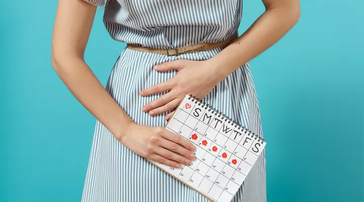 menstrualni vodič