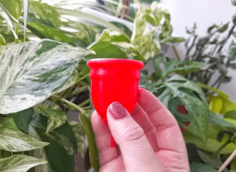 Lalicup menstrualna skodelica čiščenje zadržki pred uporabo